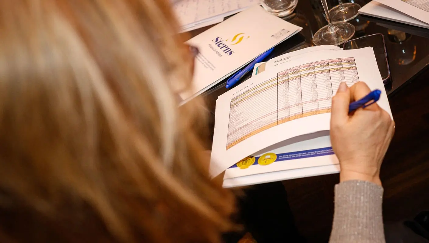 Curs Antreprenor în control - Management financiar pentru antreprenori 3 Sterns | Financial Advisor - Curs antreprenori management financiar, consultanță fiscală și optimizare taxe, contabilitate în Brașov, resurse umane și salarizare